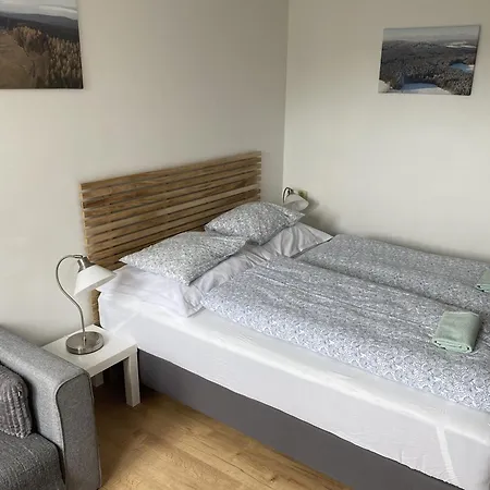 Stanice Lyzaru Guest house Frysava